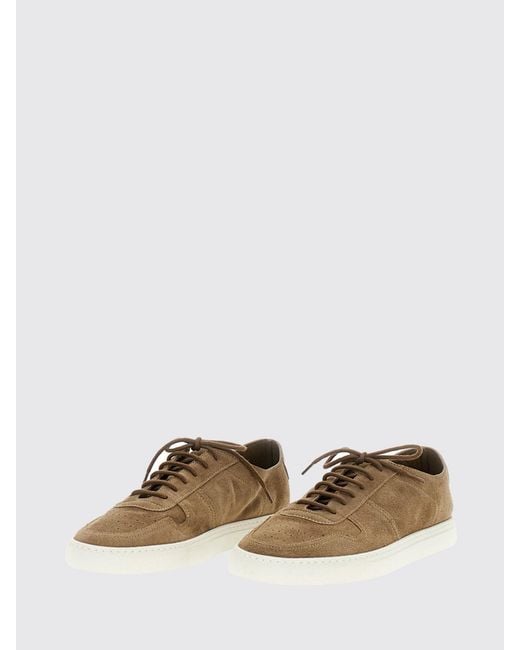 Common Projects Brown Bball Suede Sneakers for men