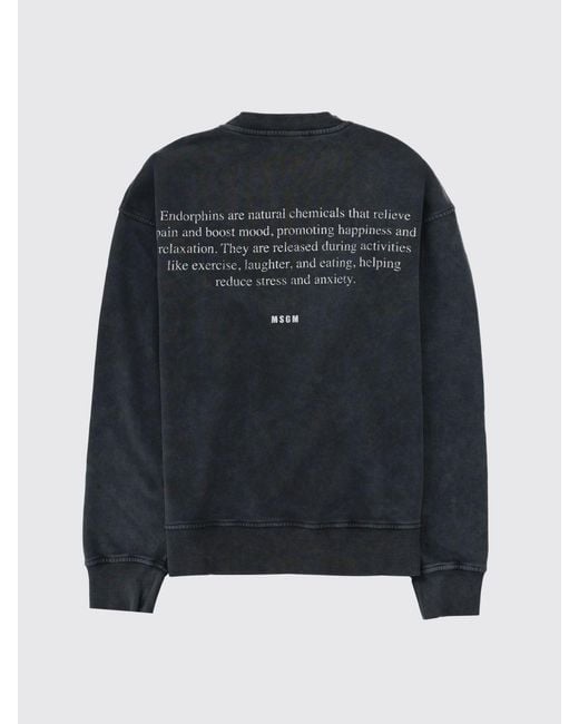 MSGM Blue Relaxed Fit Crewneck Sweatshirt for men