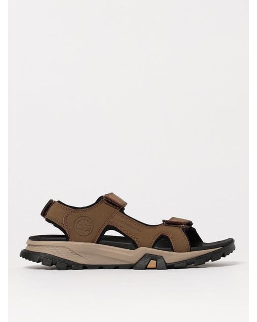 Timberland Brown Sandals for men