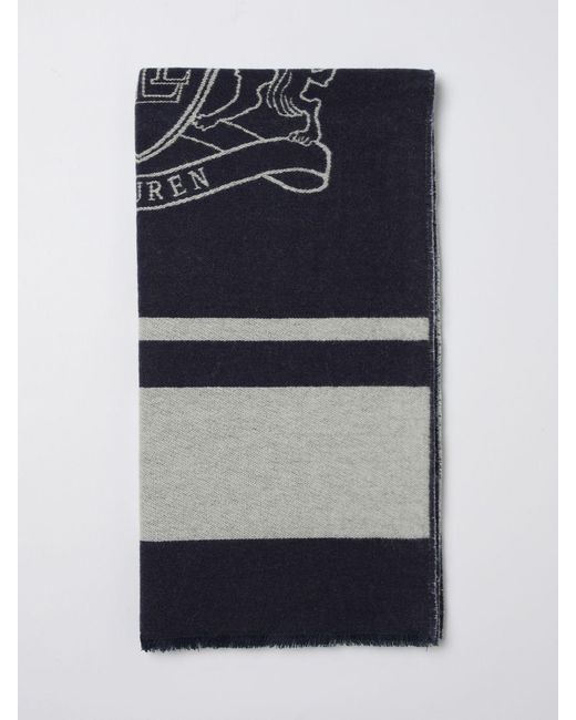 Ralph Lauren Blue Scarf