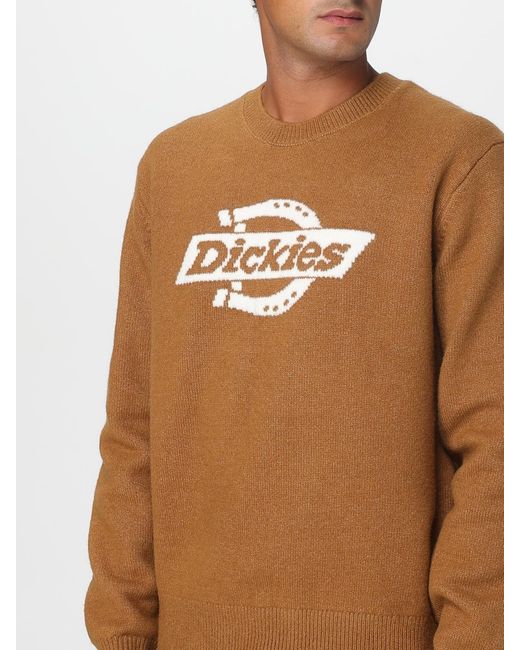 Dickies Blue Jumper for men