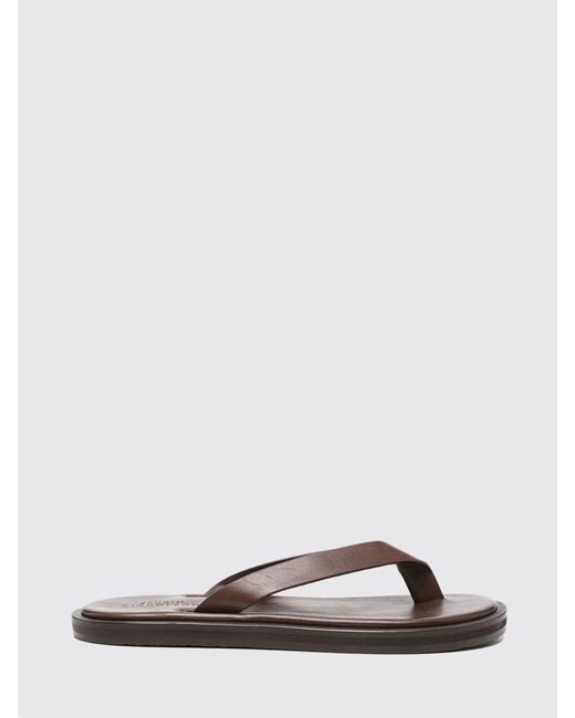 Studio Nicholson Brown Shoes for men