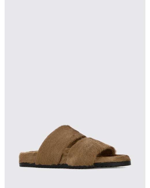Dolce & Gabbana Brown Dolce &Amp Gabbana Sandals for men