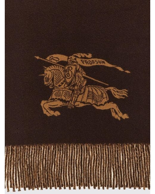 Sciarpa di Burberry in Brown da Uomo