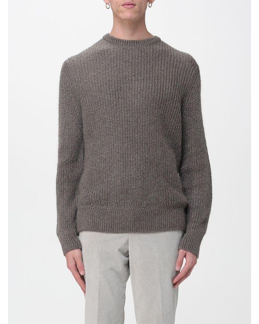 Boss Gray Sweater for men