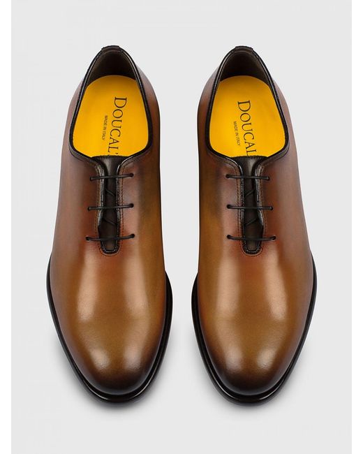 Doucal's Brown Leather Oxford Shoes for men