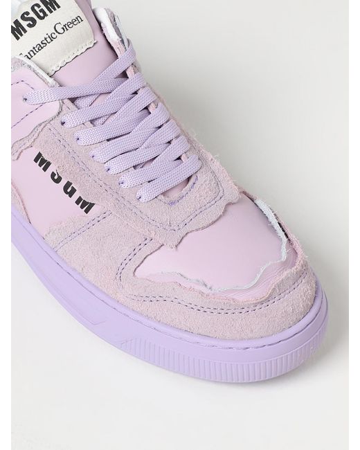 MSGM Purple Trainers for men