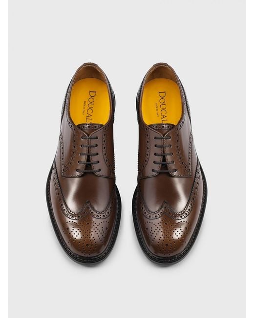 Doucal's Brown Leather Derby Shoes With Brogue Detail for men
