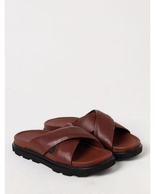 Ugg Brown Sandals for men