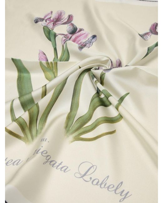 Alberta Ferretti Natural Silk Scarf With Floral Print