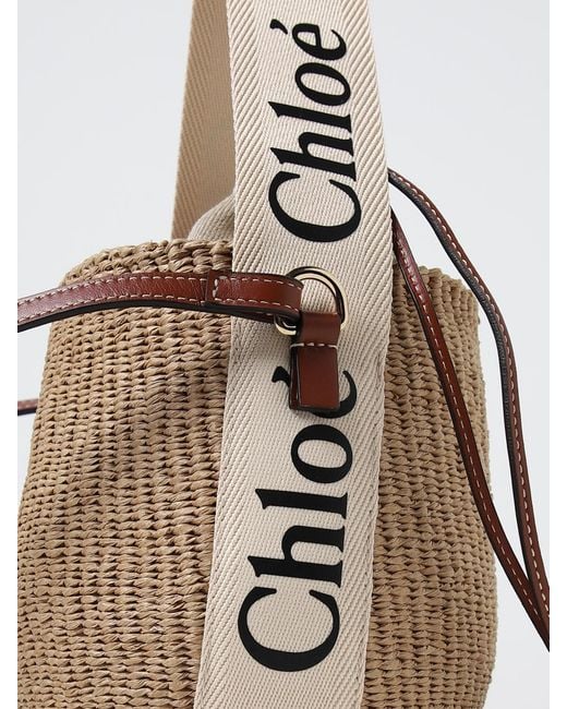 Chloé White ChloÉ Woody Woven Raffia And Leather Bag