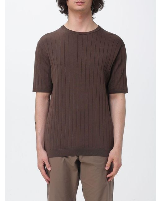 People Of Shibuya Brown Cotton Crew Neck Sweater for men