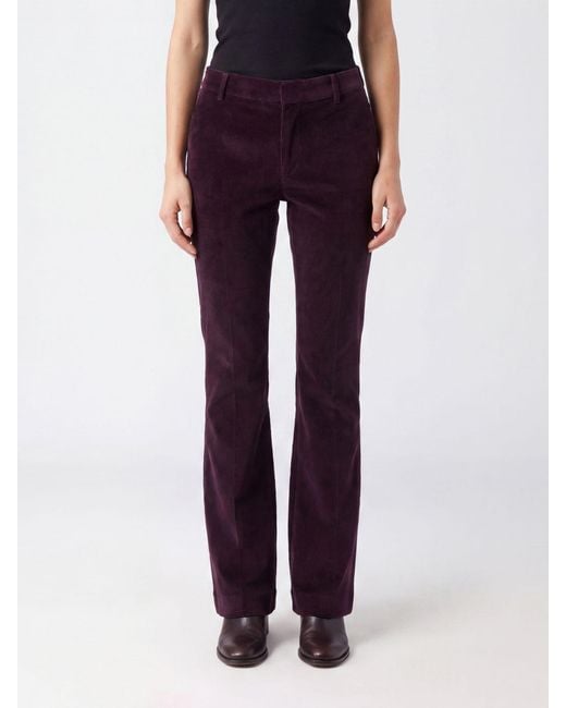 PT Torino Purple Pants