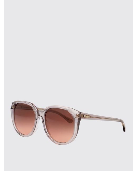 Chloé Gray ChloÉ Ch0291Sk Recycled Acetate Sunglasses