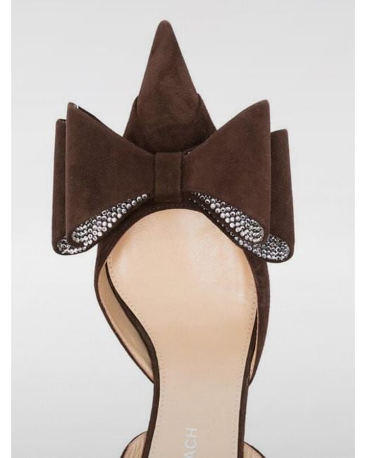 Mach & Mach Brown Shoes