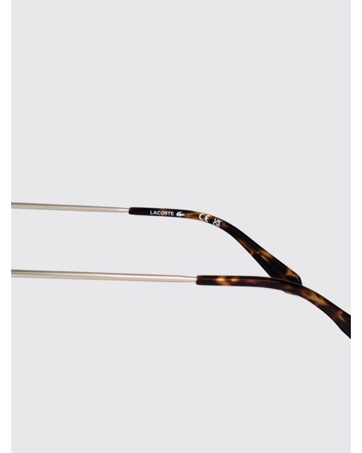 Lacoste Brown Metal Aviator Sunglasses With Amber Lenses And Embossed Logo for men