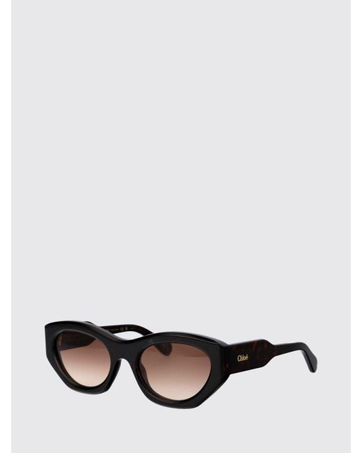 Chloé Brown Chlo&Eacute Ch0220S Sunglasses