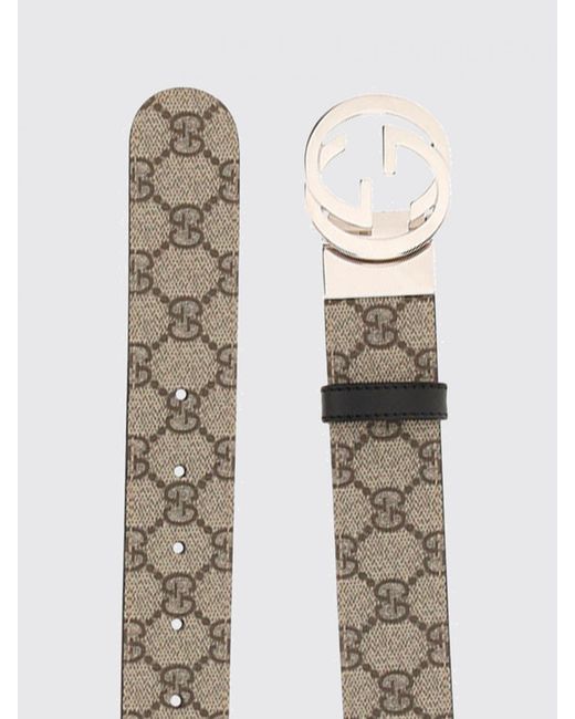 Gucci Brown Reversible Coated Gg Supreme Fabric Belt for men