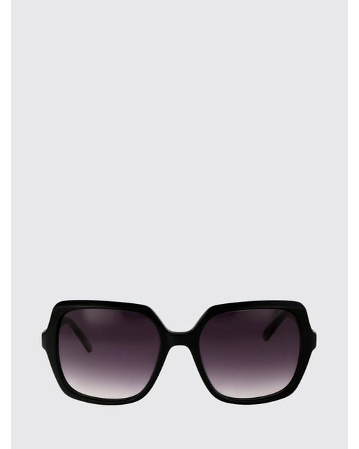 Calvin Klein Black Ck20541S Acetate Sunglasses