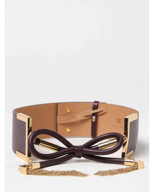 Elisabetta Franchi Brown Belt