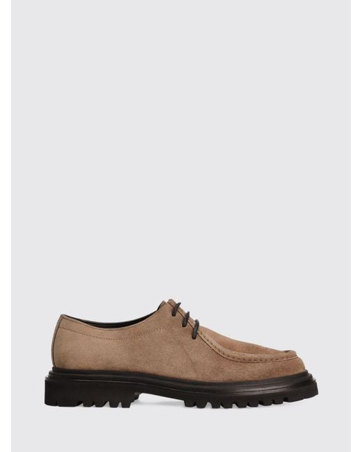 Dolce & Gabbana Brown Dolce &Amp Gabbana Shoes for men