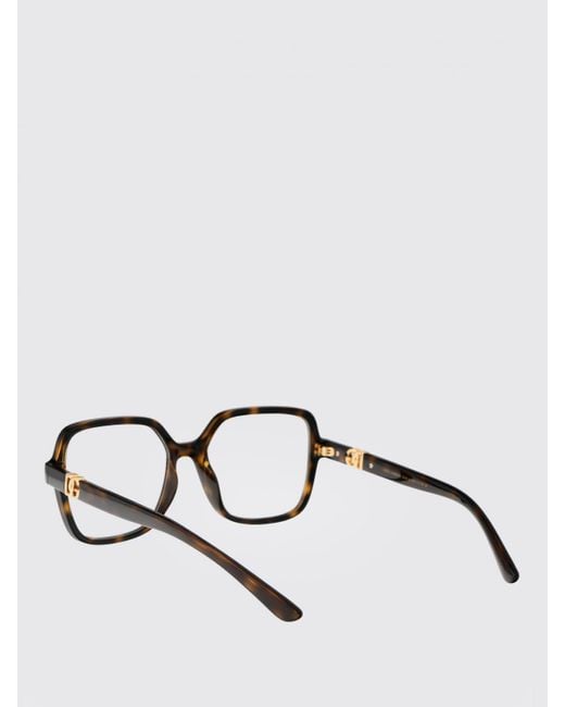 Dolce & Gabbana Brown Dolce &Amp Gabbana 0Dg5105U Acetate Optical Glasses
