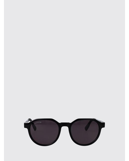 Lacoste White Tortoiseshell Acetate Aviator Sunglasses With Monogram Logo for men