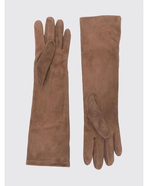Max Mara Brown Gloves for men