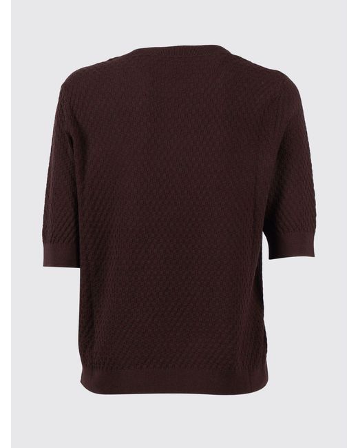 Jersey De Algodón Kangra de color Brown