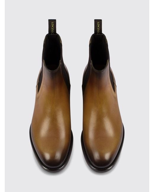 Doucal's Brown Boot for men