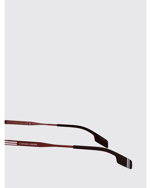 Canada Goose Red Sunglasses for men