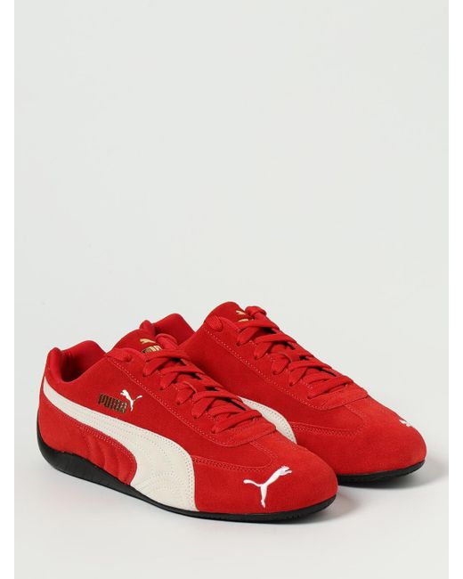 PUMA Red Sneaker Speedcat og rot/ weiß