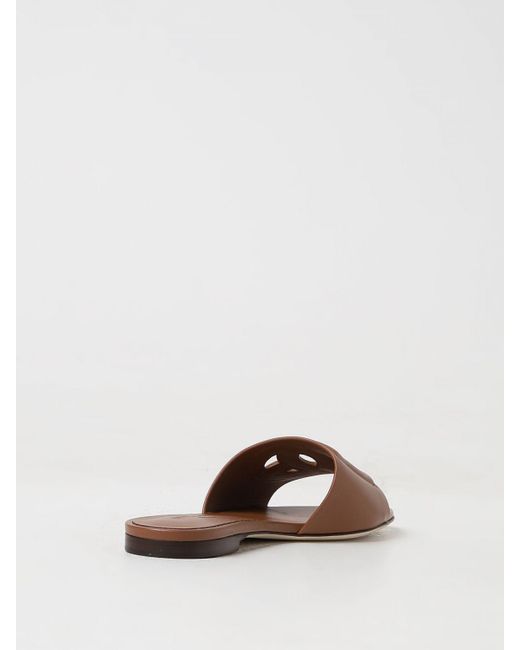 Dolce & Gabbana Brown Flache sandalen