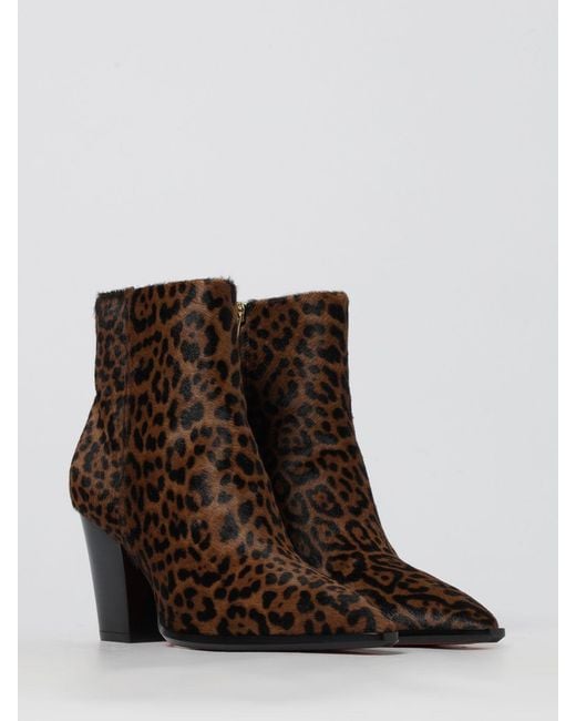 Santoni Brown Shoes
