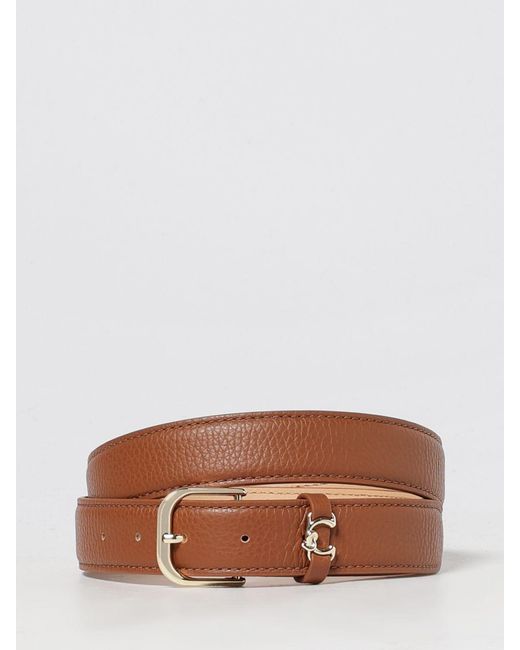 Coccinelle Brown Belt