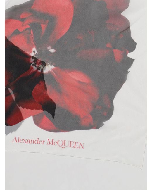 Sciarpa in seta stampata di Alexander McQueen in White