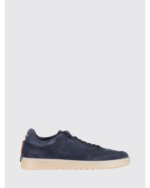 Barracuda Blue Sneakers for men