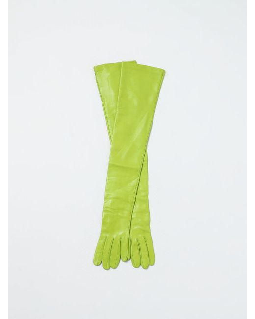 Fabiana Filippi Green Gloves