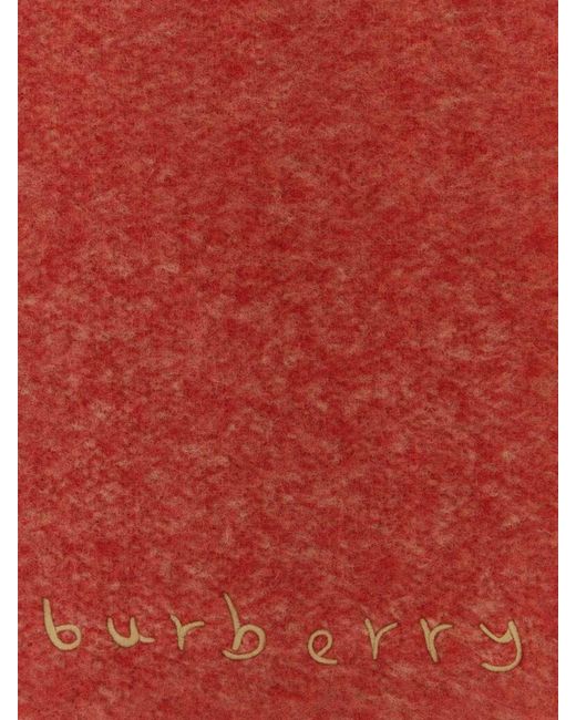 Sciarpa di Burberry in Red da Uomo