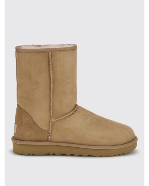 Ugg Brown Boots