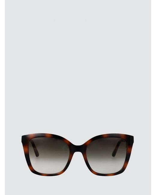 Ferragamo Brown Cat-Eye Acetate Sunglasses With Gancini Detail