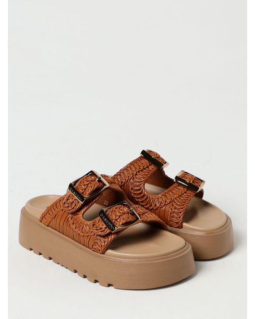 Casadei Brown Flat Sandals