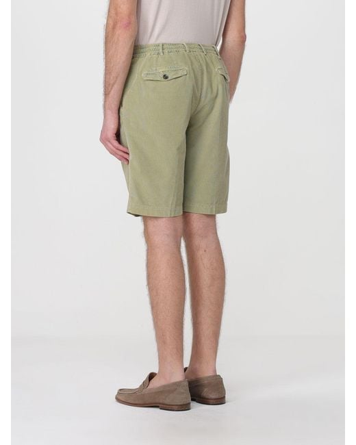 PT Torino Green Velvet Tailored Shorts for men