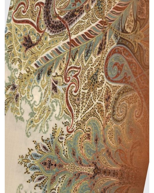 Etro Brown Scarf for men