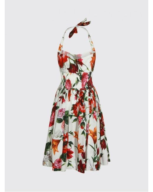 Dolce & Gabbana White Dolce &Amp Gabbana Floral Print Cotton Halterneck Midi Dress