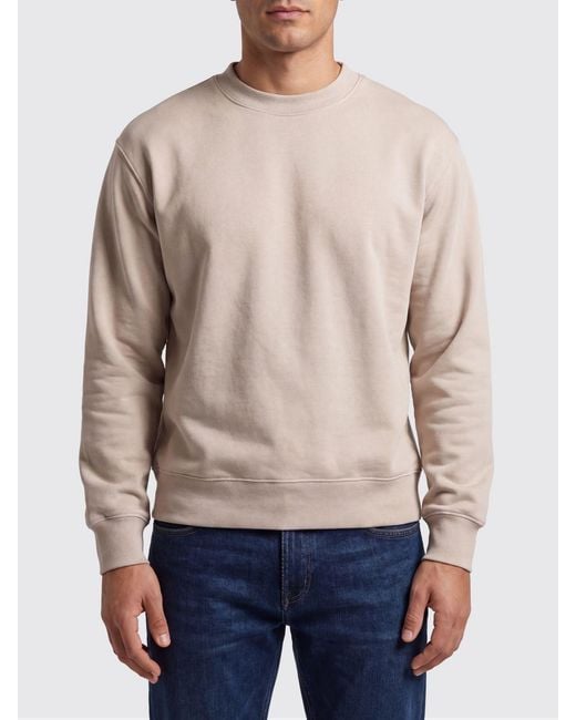 Circolo 1901 Blue Crew Neck Cotton Sweatshirt for men