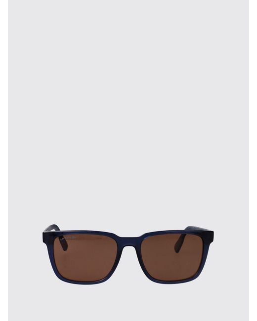 Lacoste White Aviator Acetate Sunglasses With Amber Lenses And Monogram Logo for men