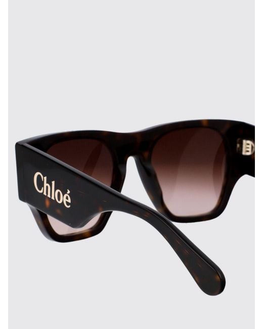 Chloé Brown Sunglasses