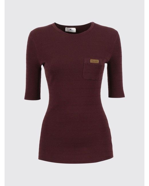 Elisabetta Franchi Purple Sweater