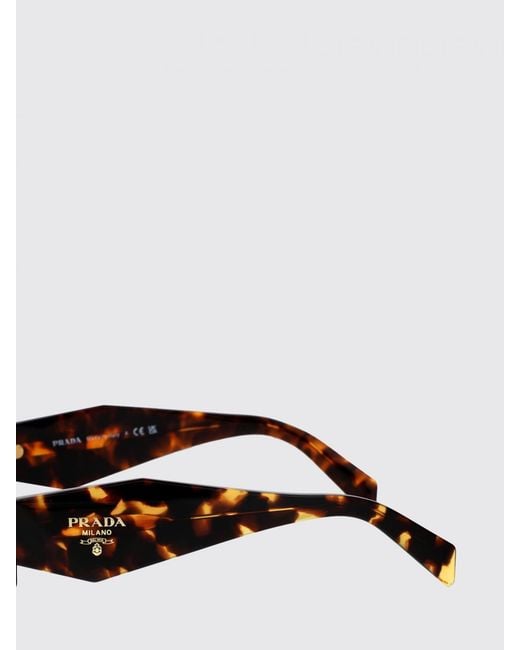 Prada Multicolor Acetate Sunglasses With Logo